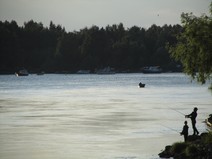 Angler in Oulu